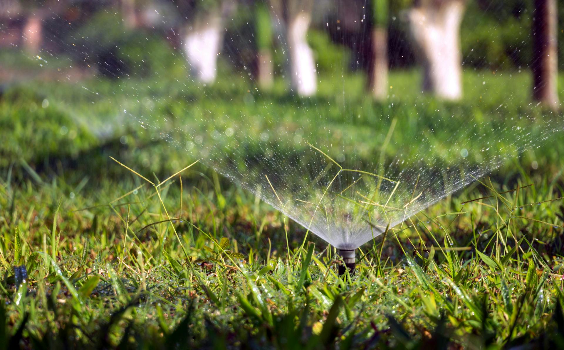 Professional irrigation sprinkler system on green lawn